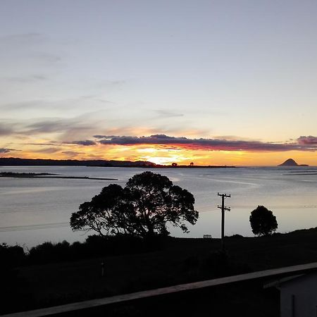 Ohiwa Harbour Studio Apartment Waiotahi Bagian luar foto
